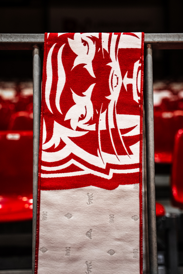 DSC09646 Écharpe RVBC officielle